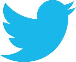 twitter bird